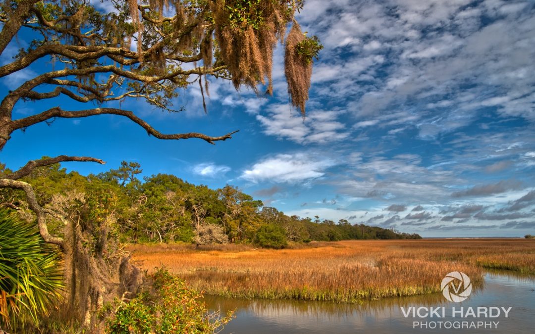 Explore Sapelo Island! Feb. 3-6, 2022 – This event is currently full.