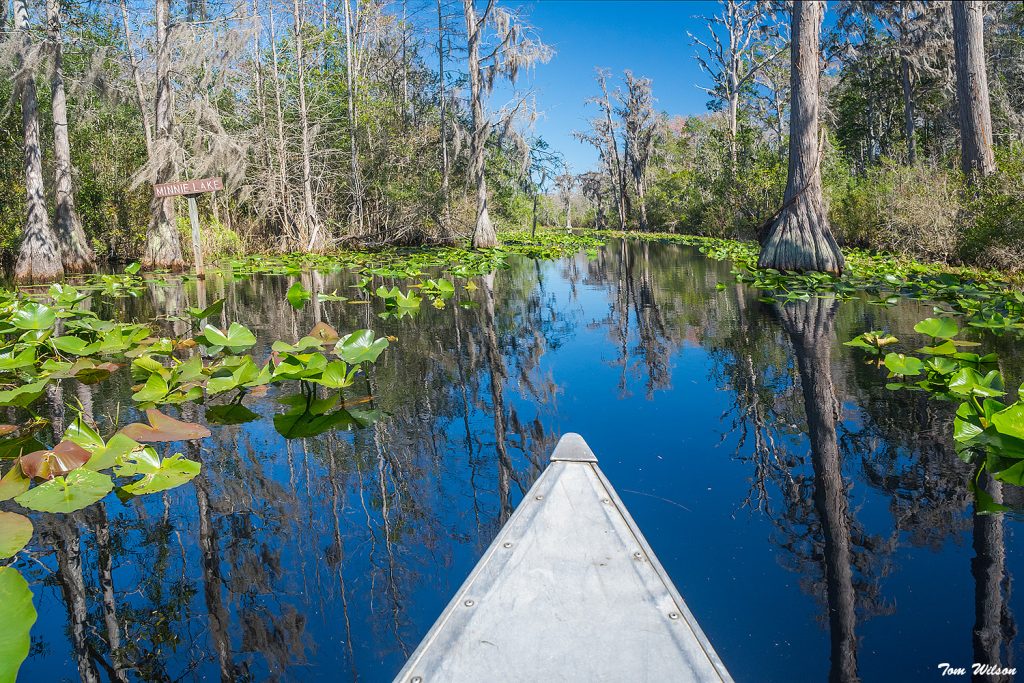 Rental Canoe from Stephen Foster State Park