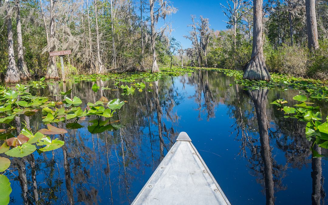 Rental Canoe from Stephen Foster State Park