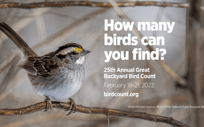 2022 GREAT BACKYARD BIRD COUNT BEGINS FEB 18th FOR FOUR DAYS!