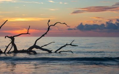 Don’t let the sun set without you at GNPA Expo, Jekyll Island April 7-10, 2022