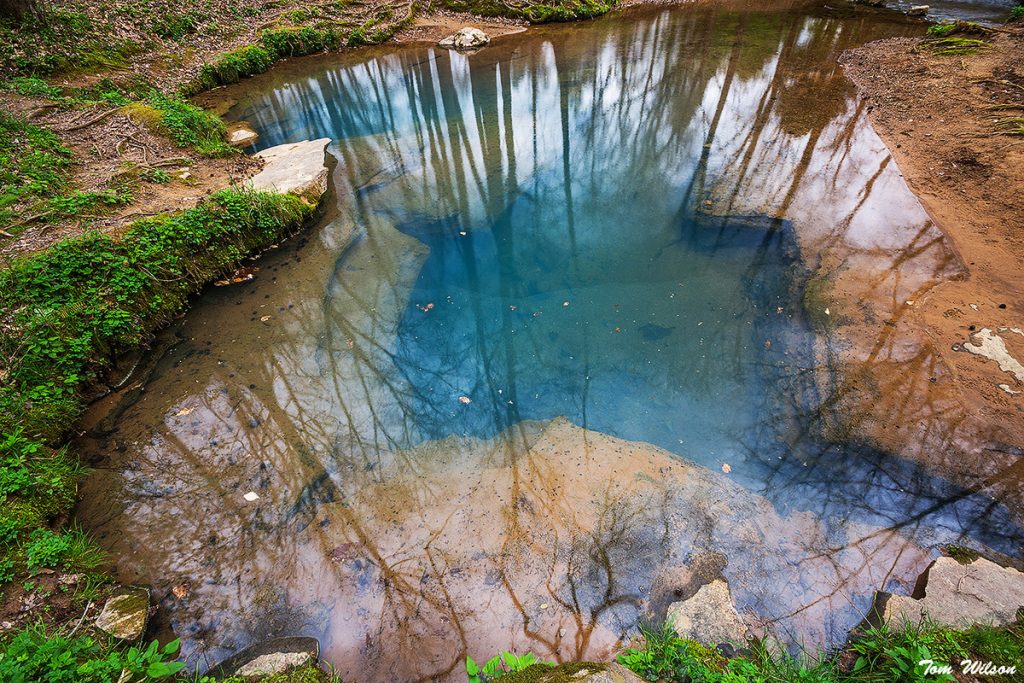 Blue Hole spring. Photo by Tom Wilson