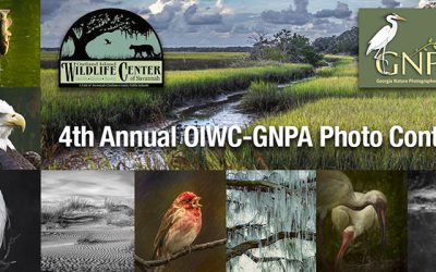 Call for Entries! 4th Annual Oatland Island Wildlife Center Competition in Savannah Georgia