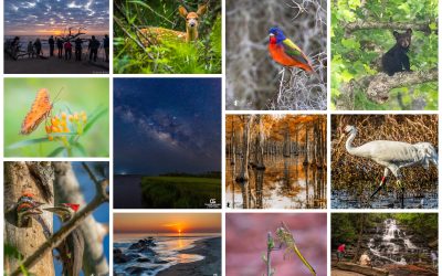 June 15th is Nature Photography Day!