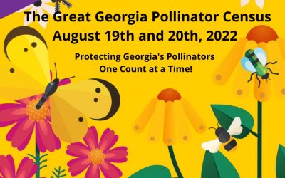 THE WAIT IS OVER! The Great Georgia Pollinator Census Starts Today – August 19th & 20th, 2022