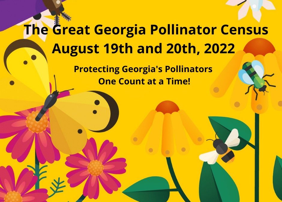 THE WAIT IS OVER! The Great Georgia Pollinator Census Starts Today – August 19th & 20th, 2022