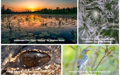 Congratulations to the Winners of the First 2022 “Year of the Okefenokee” Photo Contest