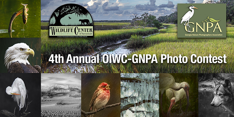 4th Annual OIWC/GNPA Photo Contest Winner Announcement!