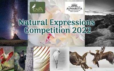 Call for Entries:  Natural Expressions Competition  –   ONLY 12 MORE DAYS!  Get your entries in ASAP!