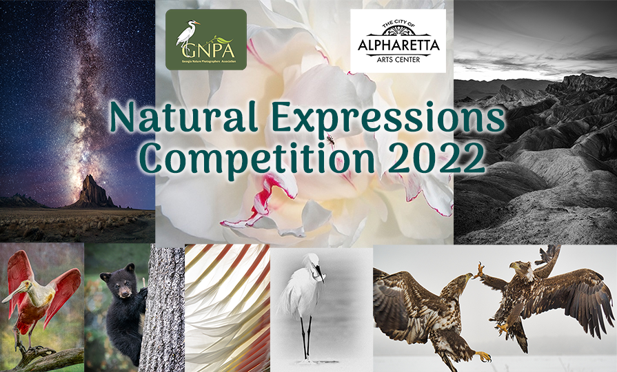 Call for Entries:  Natural Expressions Competition  –   ONLY 7 MORE DAYS!  Get your entries in ASAP!