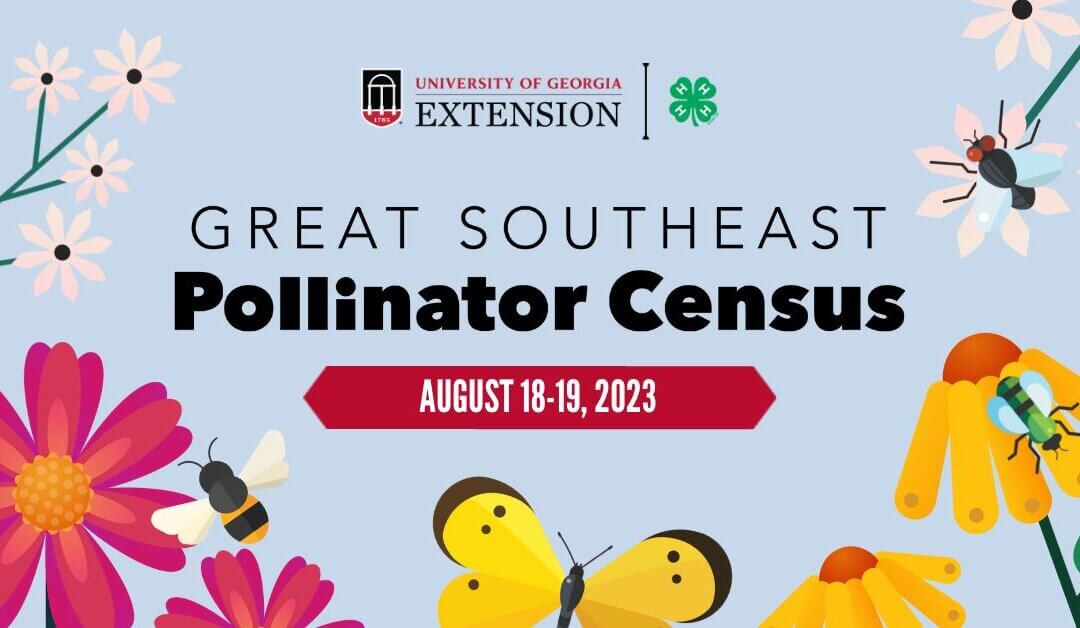 THE WAIT IS OVER! The Great Southeast Pollinator Census Is August 18th & 19th, 2023. YOU Can Help Make a Difference! Join the Count, Share Your Photos!