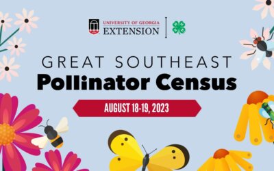 THE WAIT IS OVER! The Great Southeast Pollinator Census Is August 18th & 19th, 2023. YOU Can Help Make a Difference! Join the Count, Share Your Photos!
