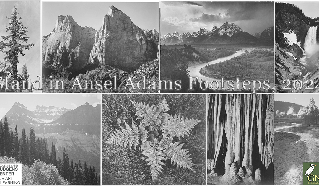 ENTRY DEADLINE JAN 5TH AT 10PM! 8th Annual “Stand in Ansel Adams Footsteps” Juried Competition & Exhibition – Call for Entries