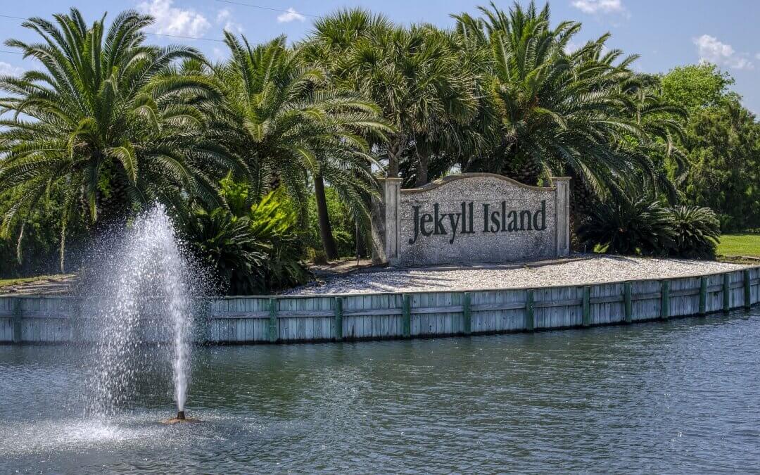 Sand Dollars • Jekyll Island, Georgia • Vacation, Conservation, and  Education Destination