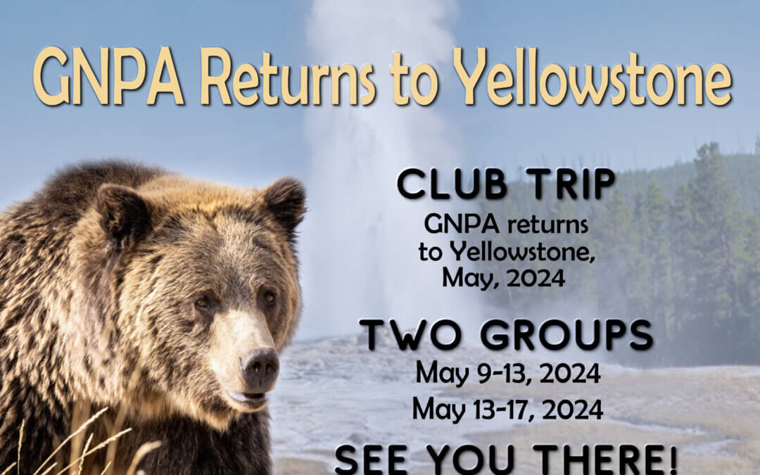 GNPA in Yellowstone: May, 2024! Registration is Open!